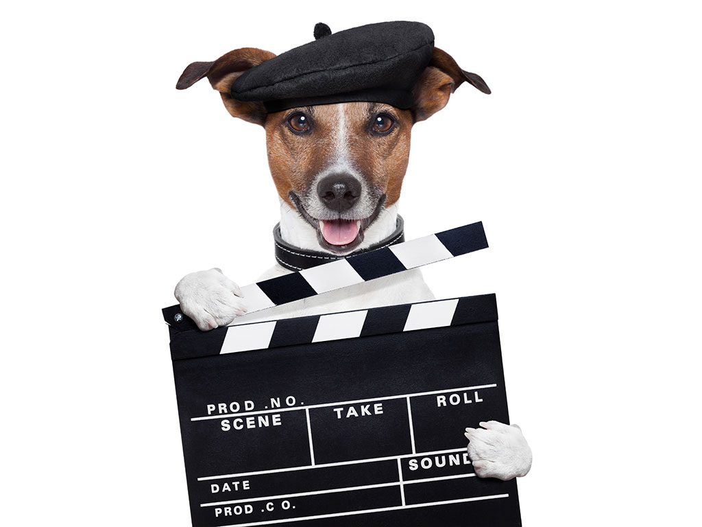 10 x Leukste hondenfilms