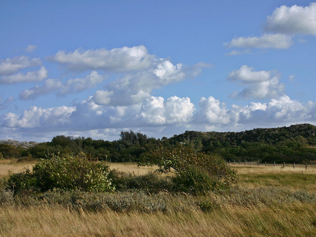 Wandelen door Boswachterij Westerschouwen