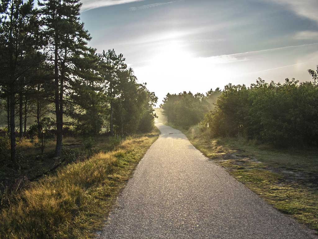 Paddenpad Ameland