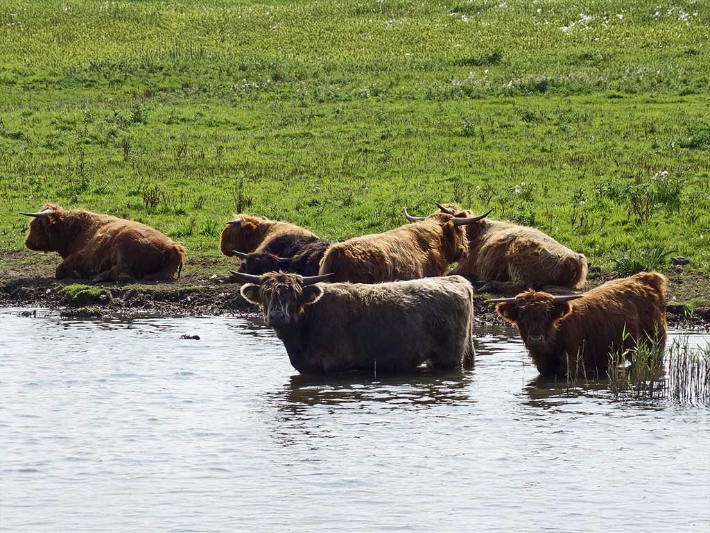 Natuurspeelplaats Lauwersmeer